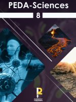 Peda-Sciences EB8